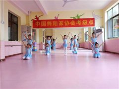 舞界联盟- -中国舞蹈家协会考级点学舞考级一条龙